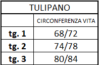 TULIPANO FLANELLA (Ultima - pronta consegna)