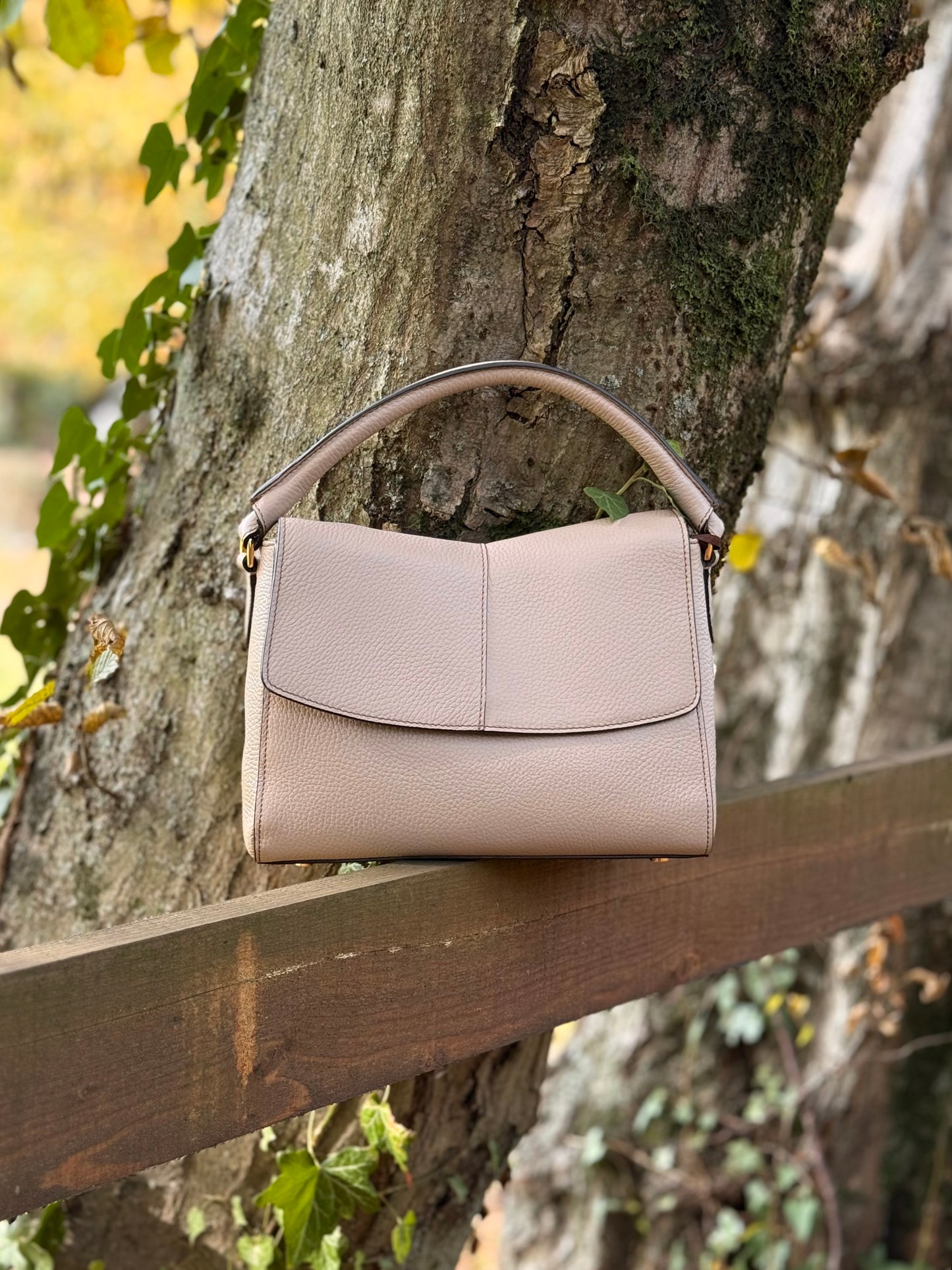 EDERA - VERA PELLE - TORTORA