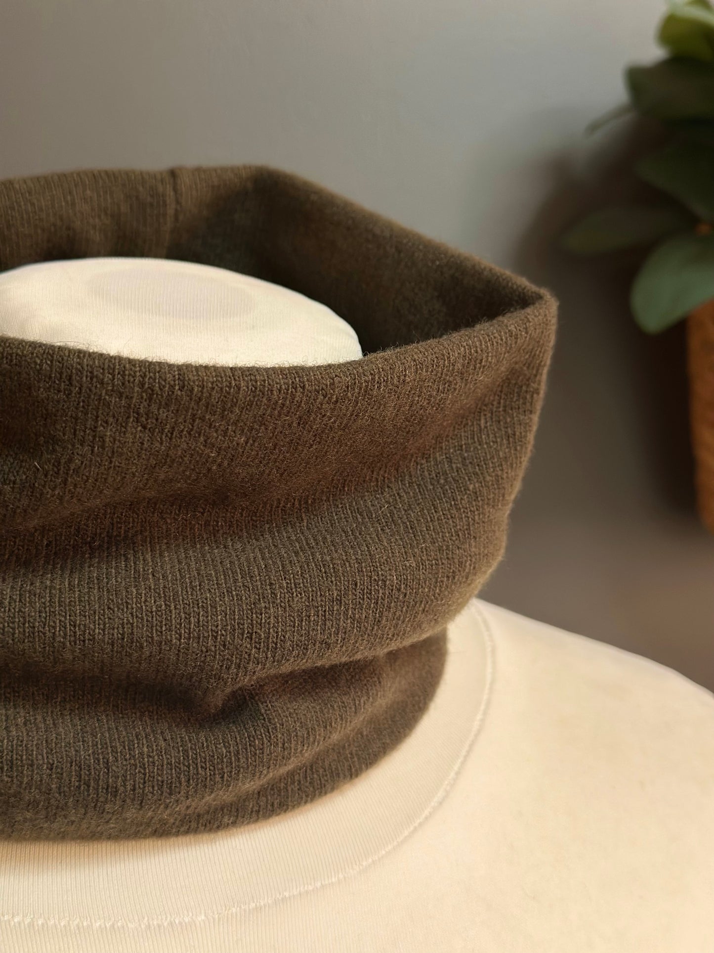 FIOCCO DI NEVE VERDE