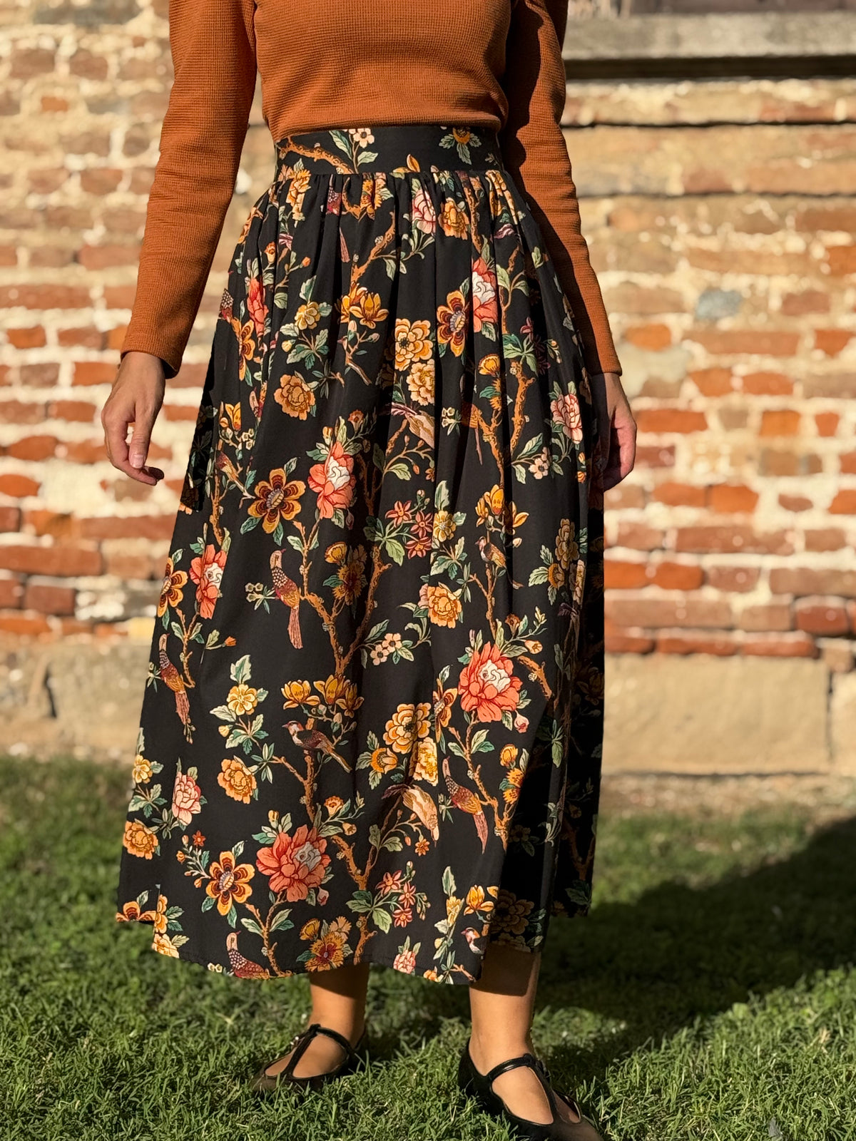 DAHLIA natura